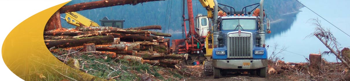 What it does, Forestry Management Software